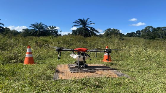 Are seed-sowing drones the answer to global deforestation? | Environment News