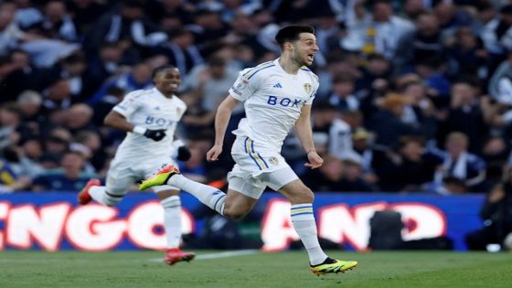 Leeds United reach Championship playoff final with emphatic win over Norwich City