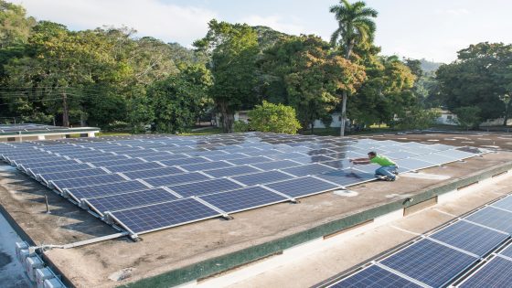 Haiti needs a Green New Deal, not another military intervention | Opinions
