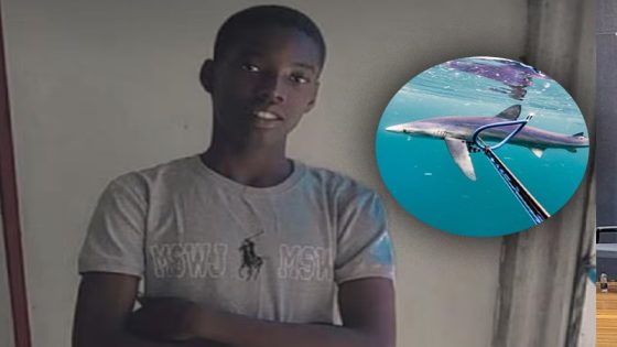 Boy killed in shark attack off Jamaican coast