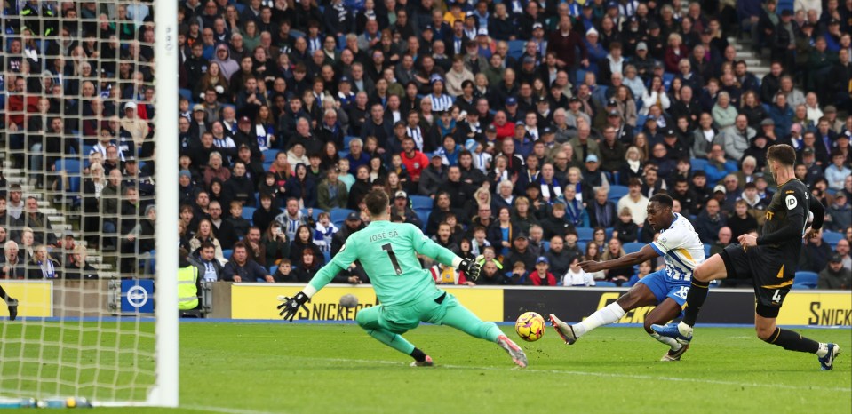 Danny Welbeck's strike at the end of the first half gave Brighton the lead