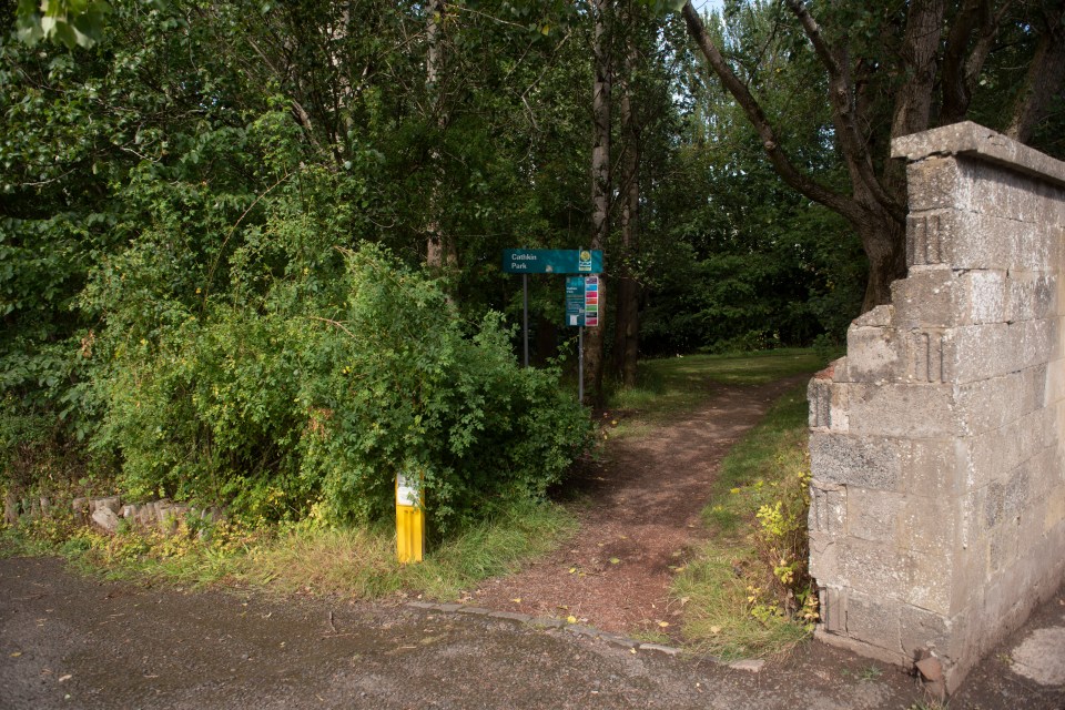 The old stands have become overgrown with foliage