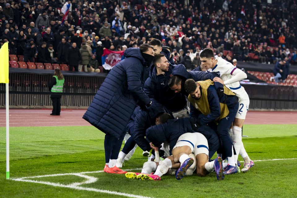 Serbia players piled on top of Terzic to celebrate the late equaliser