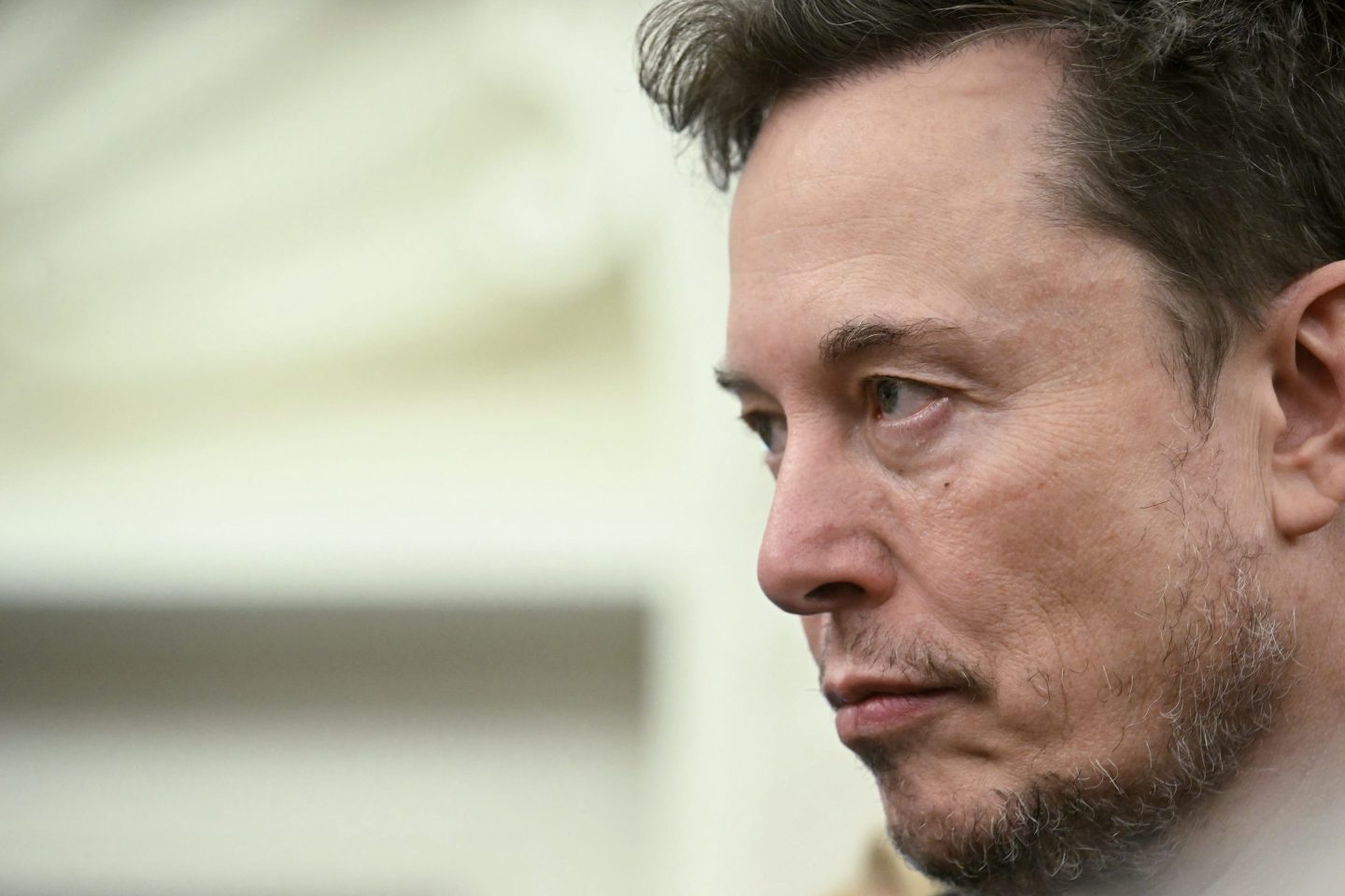 Elon Musk glares at someone