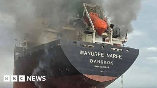 What have US allies and China said about sending ships to the Strait of Hormuz?