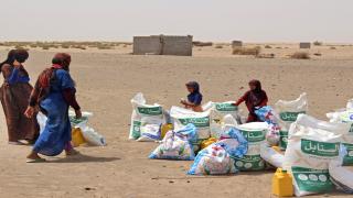 ‘Yemen at a crossroads’: Nearly 200 aid groups issue urgent funding appeal | Humanitarian Crises News