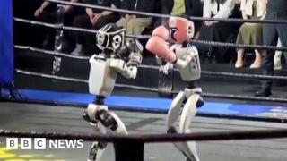 Humanoid robots fight in Chinese boxing competition