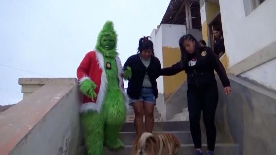 Video. How the Grinch arrested a suspected drug trafficker in Peru