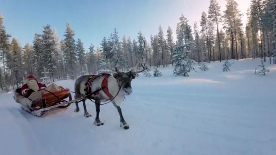 Video. Warm autumn leaves Santa’s Lapland village with less snow