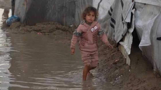 Video. Disastrous living conditions despite ceasefire in Gaza