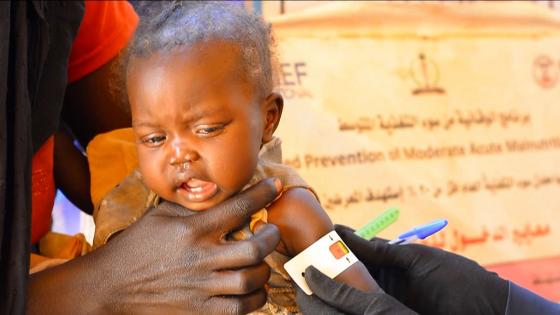 Video. Sudan faces severe food crisis
