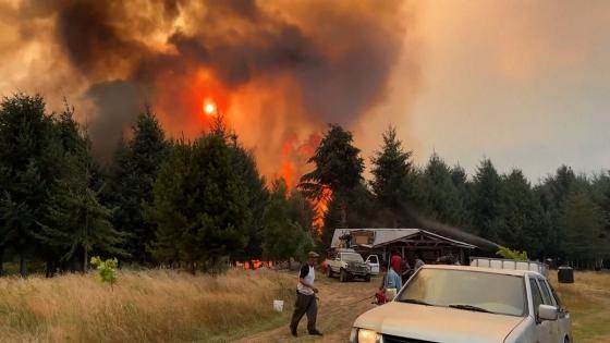 Video. Wildfires devastate Patagonia’s forests, threatening El Bolsón