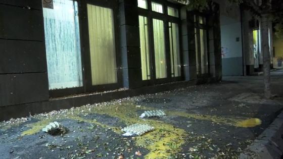 Video. No Comment: Eggs thrown at Euro Lithium Balkan headquarters in Serbia