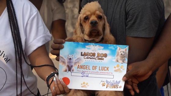 Video. A carnival for dogs in Nigeria