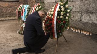 Video. 80 years since liberation of Auschwitz remembered