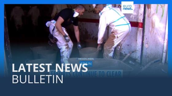 Video. Latest news bulletin | November 19th – Evening