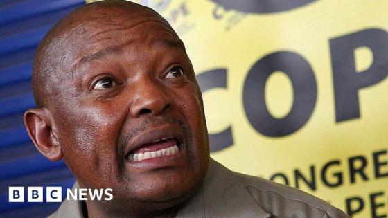 South Africa's long-serving former defence minister and former Robben Island prisoner dies
