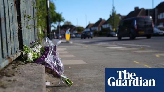 Met officer under criminal investigation over road death of pregnant woman | Metropolitan police