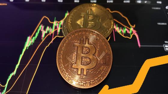 Spot Bitcoin ETFs experience record outflow, bleeding over $1 billion in one day