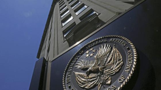 Trump and Musk are reportedly planning an ‘aggressive’ shake-up at the Department of Veterans Affairs, which would slash 80,000 jobs