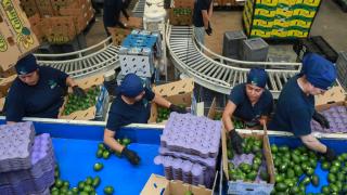 Business owners say Trump’s erratic trade policies are threatening investment and economic growth