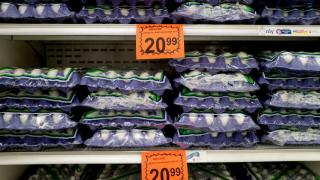 Justice Department opens antitrust probe into egg price spike