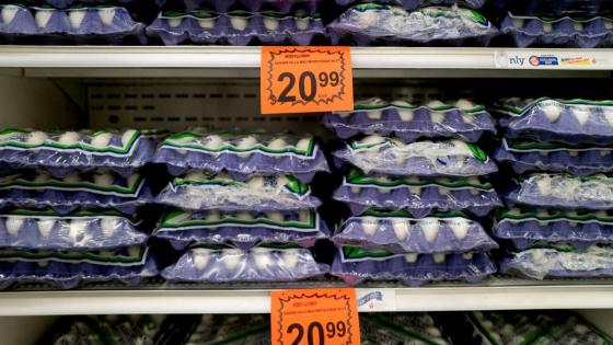 Justice Department opens antitrust probe into egg price spike