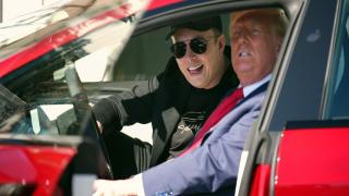 Morgan Stanley’s auto analyst polls his clients on what they think of Elon Musk—the results make for grim reading