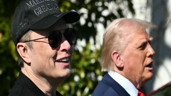 Tesla’s fall from grace may have no equal, says JPMorgan: ‘We struggle to think of anything analogous’