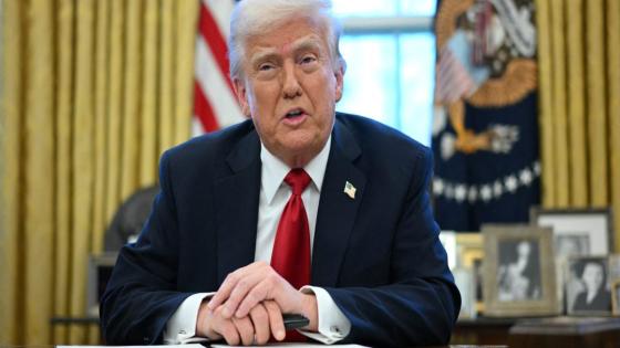 The biggest losers of Trump’s tariff wars with Canada could be the states who helped elect him, new analysis finds