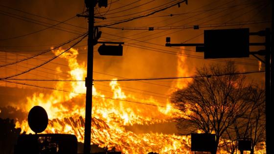 European weather forecaster ECWMF develops better AI tool to predict wildfire risk—and shows why data trumps algorithms