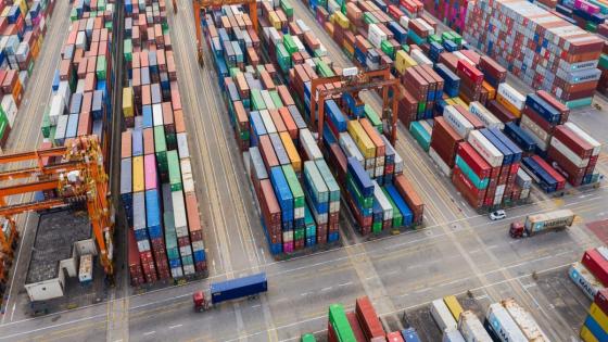 Consumers will bear the brunt of tariff costs, say economists