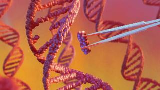 Exclusive: Biotech startup Profluent says it has found “scaling laws” for AI models for protein design