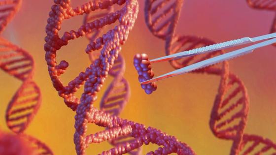 Exclusive: Biotech startup Profluent says it has found “scaling laws” for AI models for protein design