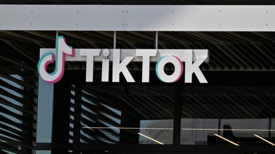 TikTok bidder calls $600 million EU fine latest example in ‘avalanche of evidence’ social media companies control too much user data