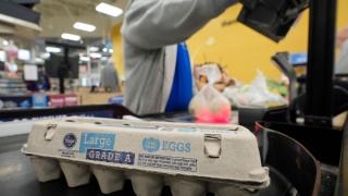 U.S. egg prices just fell for the first time in 7 months—but are still hovering at near-record highs