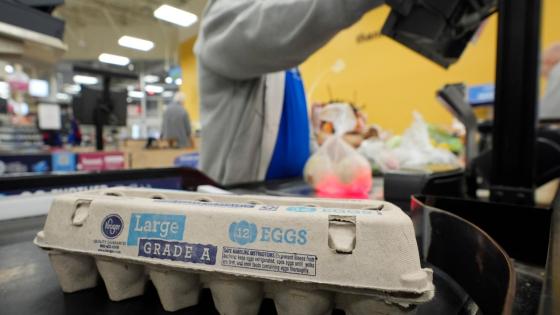 U.S. egg prices just fell for the first time in 7 months—but are still hovering at near-record highs