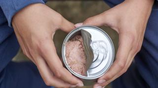 How much mercury is too much?