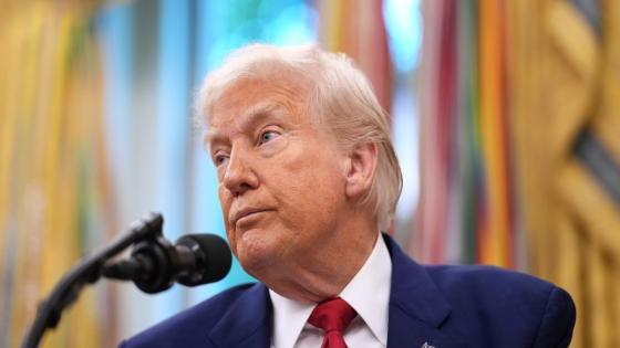 Trump’s tariffs are headed for a constitutional showdown at the Supreme Court that could reshape presidential power for decades