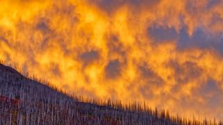 Ex-CEOs: Prioritize climate change, nature loss amid sprawling sustainability agenda