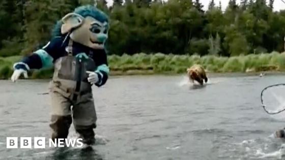 Bear chases American Football mascot during photoshoot