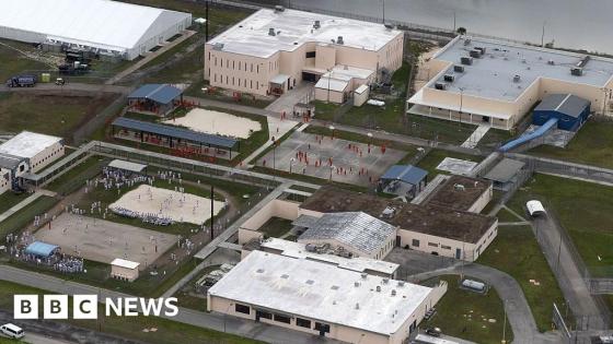 Mexican teen dies while being held in US immigration custody