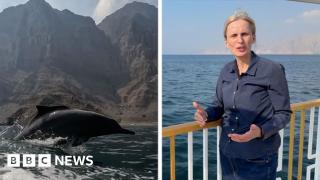 BBC reports near Strait of Hormuz