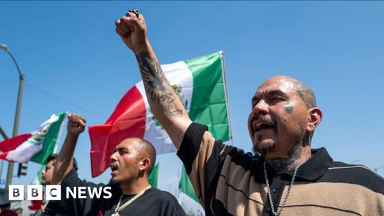 ‘It’s important for me’ – LA protesters take to the streets