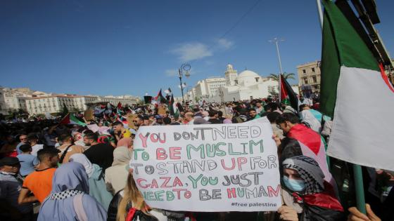 Israel occupying Palestine echoes France colonising Algeria: Analysts | Israel-Palestine conflict