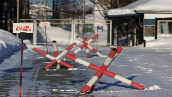 Two Russian journalists arrested over alleged work for Navalny group | Freedom of the Press News