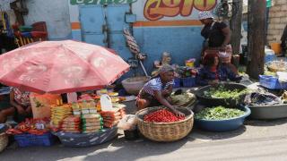 Another foreign intervention will not solve the crisis in Haiti | Opinions