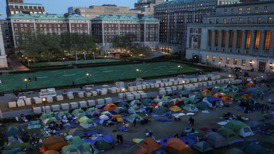 Universities v protest: A letter from a lesser alumnus | Protests