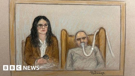 Syrian ex-colonel in court on crimes against humanity charge