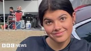 Canadian teen died from drowning after dingo attack in Australia